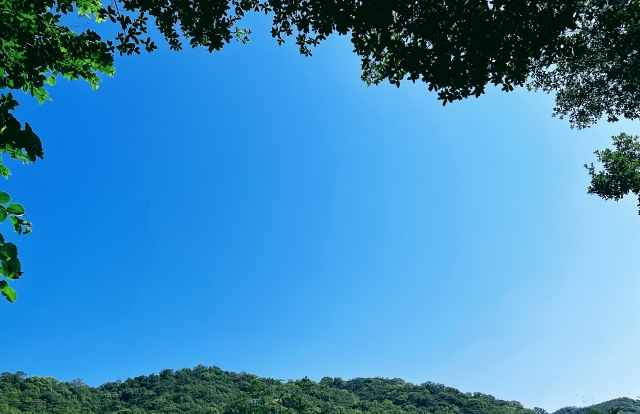 背景画像